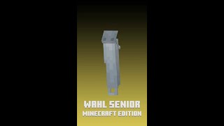 minecraft version of the #wahlsenior