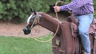 Riding in Romels - Steve Lantvit Horseman's Minute with the Equicizer