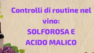 SOLFOROSA E ACIDO MALICO: Controlli di routine del vino