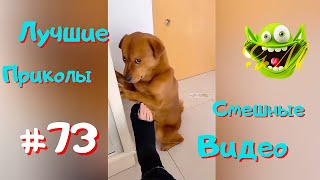 Лучшие Приколы 🤪 Смешные Видео 🤪