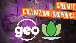 RAI3 - GEO | Idroponica.it Speciale sulla Coltivazione Idroponica