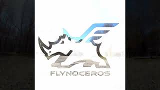 Flynoceros Skoll Park rips