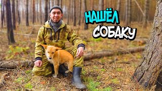 ДОМИК НА ДЕРЕВЕ ГОТОВ! СДЕЛАЛ СТОЛ И ДВЕРЬ. НАШЕЛ СОБАКУ В ЛЕСУ. НАЧАЛ СТРОИТЬ БЕСЕДКУ.