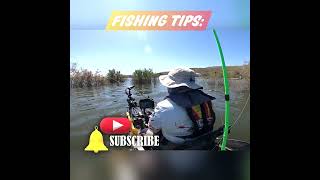 YOU should know this:  FISHING TIPs #Shorts #fishing #bass #facts