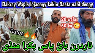 Sasta nahi dunga ghr lejaonga | Northern bypass Bakra Mandi Rates😲🔥|Karachi bakra Mandi rates update