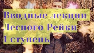 Вводные лекции Лесного Рейки. 1 ступень