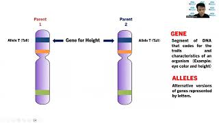 Learn Genetic Vocabularies