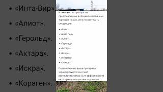 «Опрыскал деревья весной, а летом собрал большой урожай» Список лучших препаратов для весенних работ