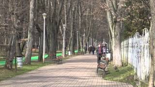 Parcul Regina Maria / Baia Mare