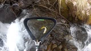 Sompteuse TRUITE FARIO Dans Un Torrent De Montagne ! HD Et LIVE