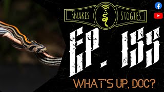 Nicole Tam & Dr. Wyman | Snakes & Stogies Ep. 155