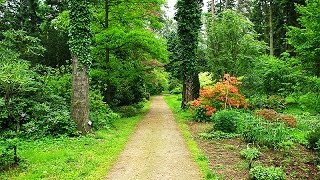 Uczta dla wszystkich zmysłów - maj w Arboretum Rogów /2014