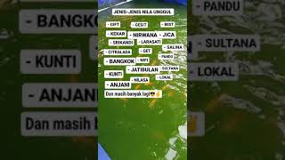 Jenis-jenis nila unggul di indonesia