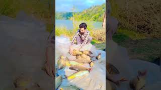 Big game😱fishing in azad kashmir ponch river🐟catch china fish گلفام مچھلی #fishing#hook#shorts