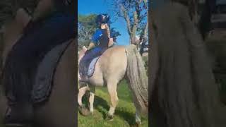 Walking on Prins from a Month ago #pony #shortvideo #horse #cute #horseriding #walking