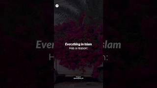 Everything In Islam has a reason 💯💚 #allah #youtubeshorts #islam #haramrelationship #music #masjid