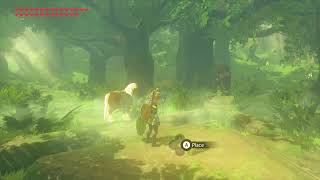 Epona disappears