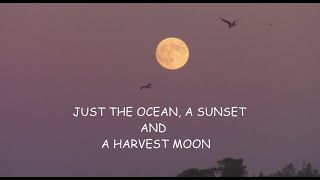 JUST THE OCEAN A SUNSET AND A HARVEST MOON