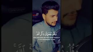 هاشم الحسني  || أفمن شرح الله صدره للاسلام ||