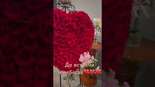 Anna Bizyayeva Funeral Service Sedalia Nov 7 2024