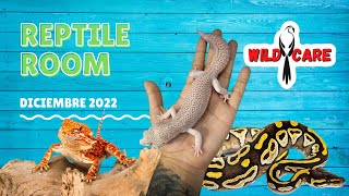 Actualización Bichera WILD CARE 🦎🔥🐍| TODOS mis GECKOS LEOPARDO en un video 🦎💚 | TEMPORADA 2023✨