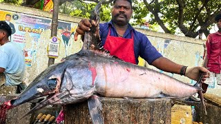 KASIMEDU SPEED SELVAM SWORD PANNIKOLA FISH CUTTING VIDEO CUTTING FOCUS