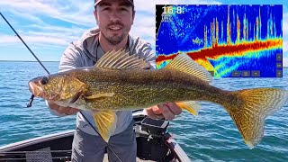 Limiting-Out on Walleyes (RAW & Uncut on Local Lake)