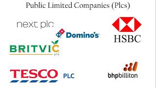 GCSE 3.1 10 Public Limited Companies (Plcs)