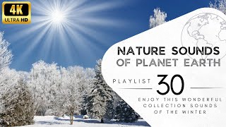 2 hours of pleasant natural sounds - winter.