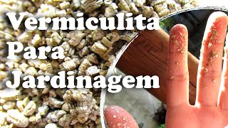 Vermiculita para Jardinagem - O Que é e Como Utilizar a Vermiculita!