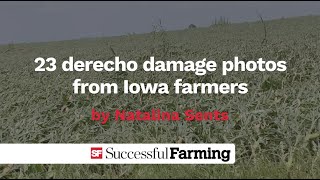 23 derecho photos from Iowa farmers