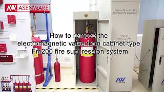 How To Remove And Test Solenoid Valves From FM200 Cabinet& Manifold Type Fire Suppression System