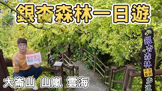 【ManLife】南投鹿谷大崙山銀杏森林一日遊｜山嵐 雲海 銀杏養身火鍋Nantou one day tour 《阿滿生活｜南投》