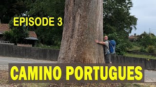 Camino Portuguese - Episode 3 - Tamel (sao Pedro Fins) -  Ponte de Lima (Updated)