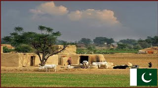 Pakistani Desert Village Life Near India Pakistan Border | Cholistan Desert most beautiful village#3