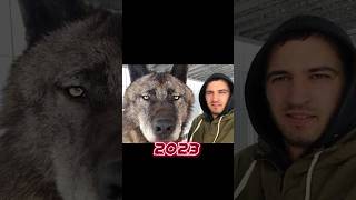 2022 WOLF 🐺🐺 AND 5000 BCE WOLF 🐺🐺 #shorts #viral