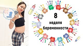 8 неделя беременности • Можно ли беременным креветки?