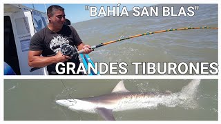 GRANDES TIBURONES!!! EN "SAN BLAS" PARA CERRAR UN "2021" A PURA PESCA MÍRALO HASTA EL FINAL!!