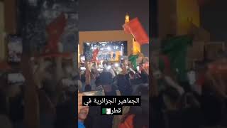 الجماهير الجزائرية في مونديال قطر تغني أغنية موح ميلانو ماشافوهاش 🇩🇿