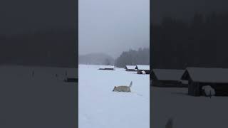 Switzerland Mountain View in Winter 🥶🇨🇭 #winter #snow #travel #youtubeshorts #youtube