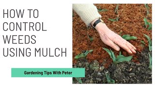 How to Control Weeds Using Mulch