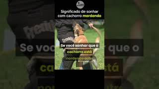 qual o significado sonhar com cachorro mordendo