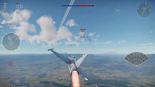 Flankers vs Gripen [War Thunder Dev Server]