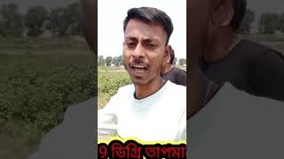 সূর্যের তাপে আদউ কি ডিম ভাজা সম্ভব?