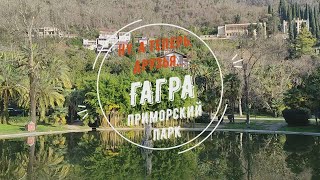 Ну, а теперь, друзья... Гагра. Приморский парк.