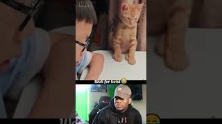 Wait for twist😂#shorts #trending #tamilcomedy #cat #cutecat #vadivelu #youtubeshorts #audioeffect