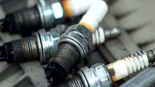 Spark Plugs