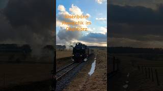 Eisenbahn Romantik im Oberharz 996001 HSB Selketalbahn Harzer Schmalspurbahn