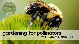 Gardening for Pollinators