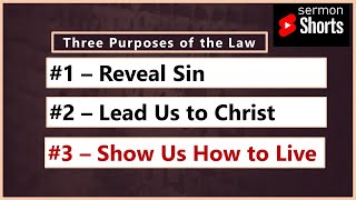 The Third Purpose of the Law (Exodus 20:1-3): YouTube Sermon Shorts